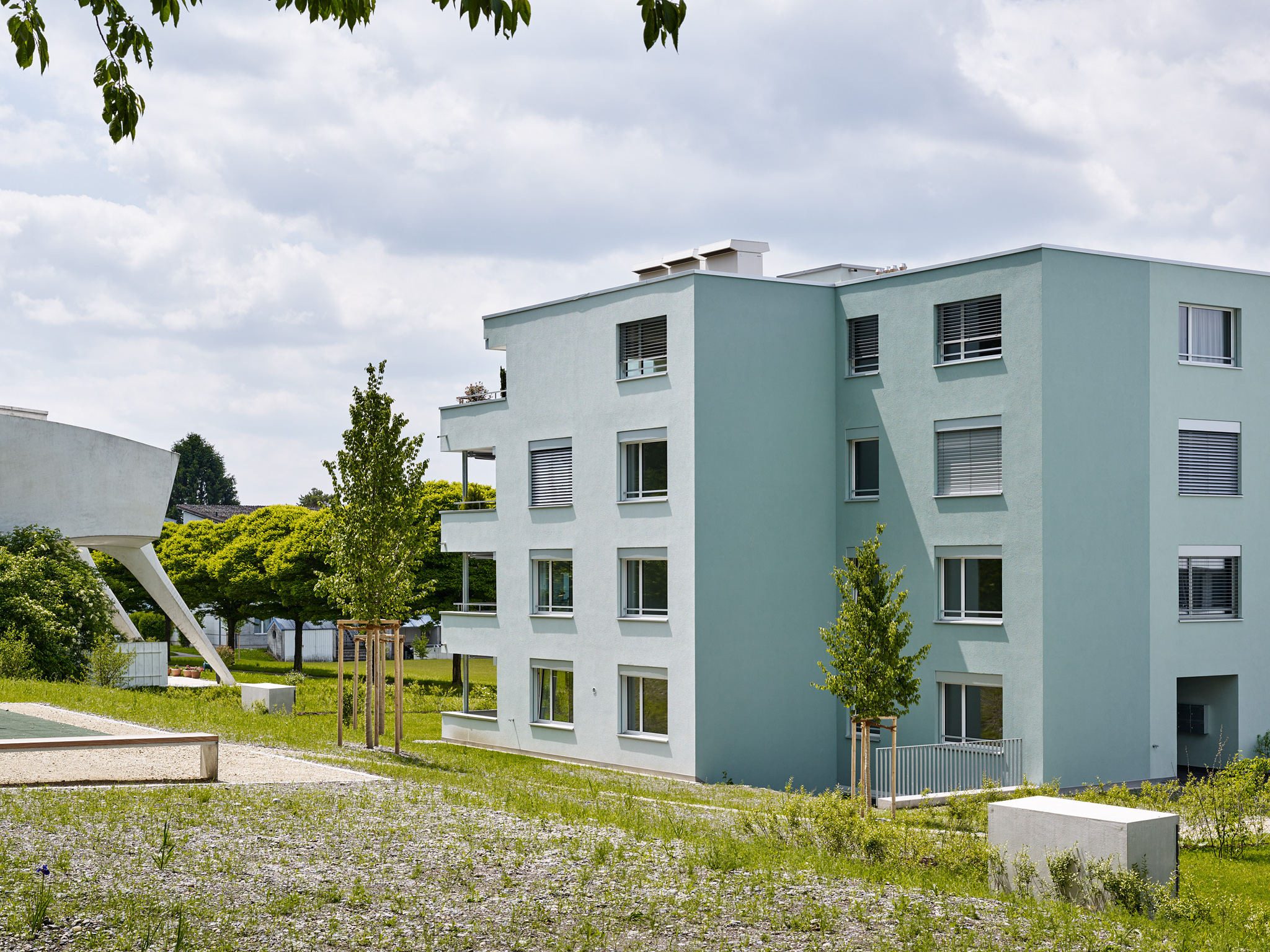 E15551 Alpa 051087 SCREEN